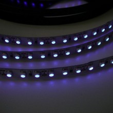 UV LED pás do interiéru 3528 60 SMD/m 5m bal.
